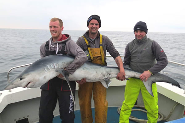 shark fishing in galway ireland